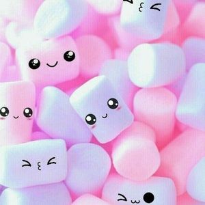 Meet your Posher, Narnia